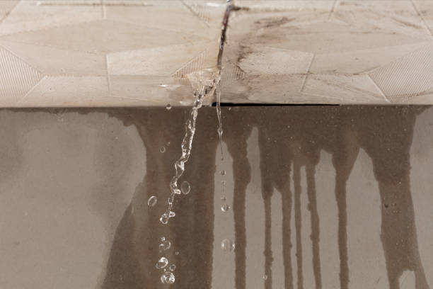 Professional Burst Pipe Cleanup technician working in Seabrook, TX